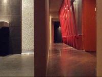 The Heart of The Hague