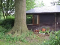 The Beech Tree Bed and Breakfast