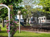 Amber Kiwi Holiday Park & Motels