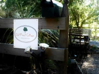 Christchurch City and Country Cottages