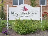 Magnolia Rose