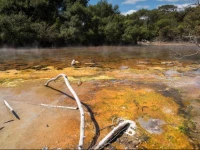 Cosy Cottage Thermal Holiday Park