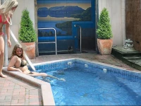 MALFROY Motor Lodge Rotorua - Accommodation and Mineral Pool