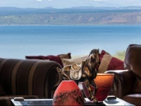 The Flying Trout Boutique Lodge