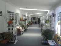 Shakespeare House Bed and Breakfast