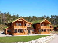 Ten-Bedroom Holiday home in Nissedal