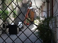 El Patio de Elisa