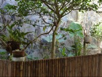 Hostal Г‘uГ±urco Travellers