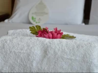 Arawi Pastoruri Hotel