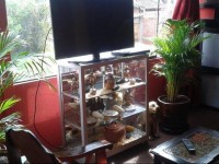 Casa Rock Bed and Breakfast