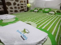 Iguana Point Hostels