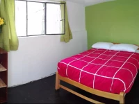 The Grasshopper Hostel