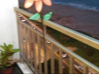 Condominio Paseo Vista Mar