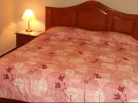 Kanata Properties 3*