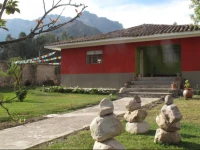 Llama Pack Backpacker