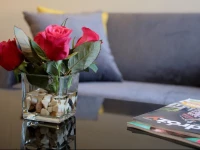 Apartamenty Zamenhofa