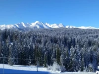 Apartamenty i Pokoje GoЕ›cinne