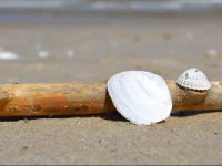 Apartament Bursztynowy