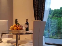 Apartament przy Focha