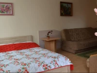 Apartament przy StarГіwce