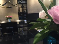 Medusa Boutique Hotel