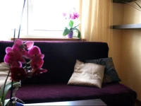 Mieszkanie z widokiem koЕ‚o Ergo Areny