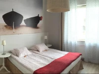 Apartament Kolorowy