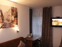 Pokoje goЕ›cinne NiedЕєwiedЕє