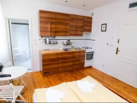 Studio - Grandtulipan