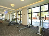 Golden Sun Polanki009