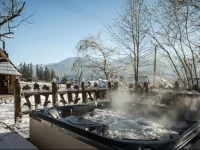 Dom GГіralski SPA z kominkiem