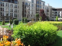 Garden Corner