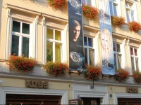 Golden Lion Apartments Szewska