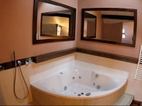 Krakow Apartment with Whirlpool