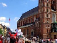 SzczepaЕ„ska 3 Apartmenthouse