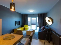 Apartment Wenecja Grey