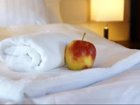 City Center House Elephant 3*