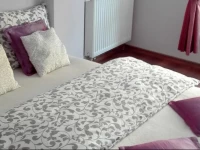 Quiet Apartments JeЕјyce