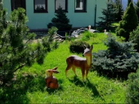 Centrum Natury Beskid