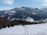 Willa Pod Modrzewiem