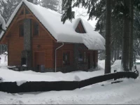 Domek Letniskowy LeЕ›na Chata