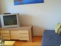 Apartament Forest Hotelique