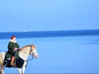 Vic Apartament Penthouse1, Penthouse 2