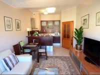 Vic Apartament Platinium