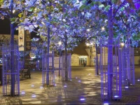 Vic Apartament Welkin