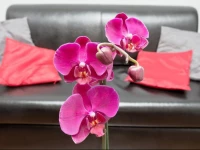 Dream in Warsaw - Ciasna 3A