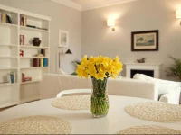 Green Courtyard Apartment