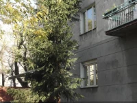 Student-House Kazimierzowska