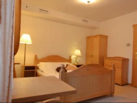 PaЕ‚acyk WiЕ›laЕ„ski