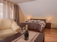 Willa Pod StarД… SkoczniД…